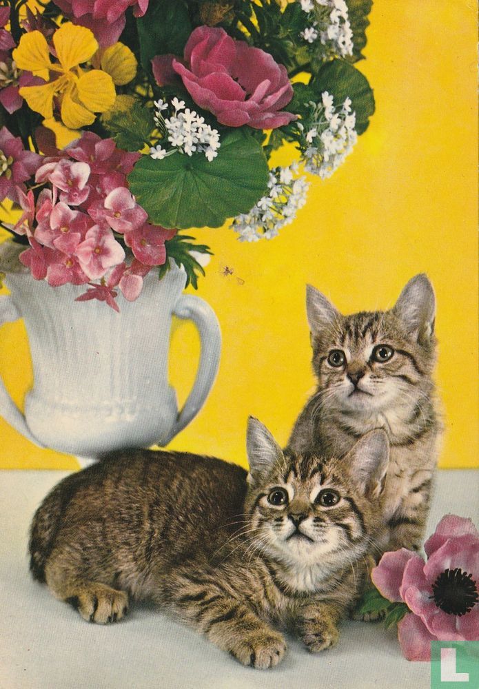 2 katjes
