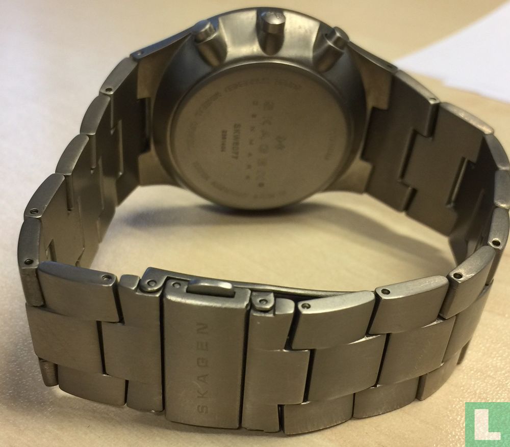 Skagen Titanium