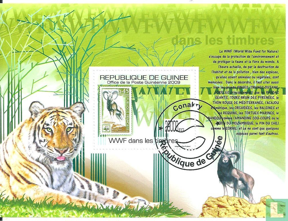 WWF