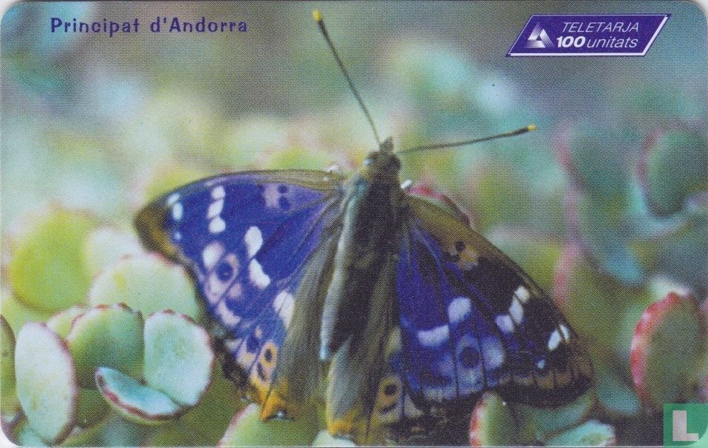 Papallona (Apatura iris)