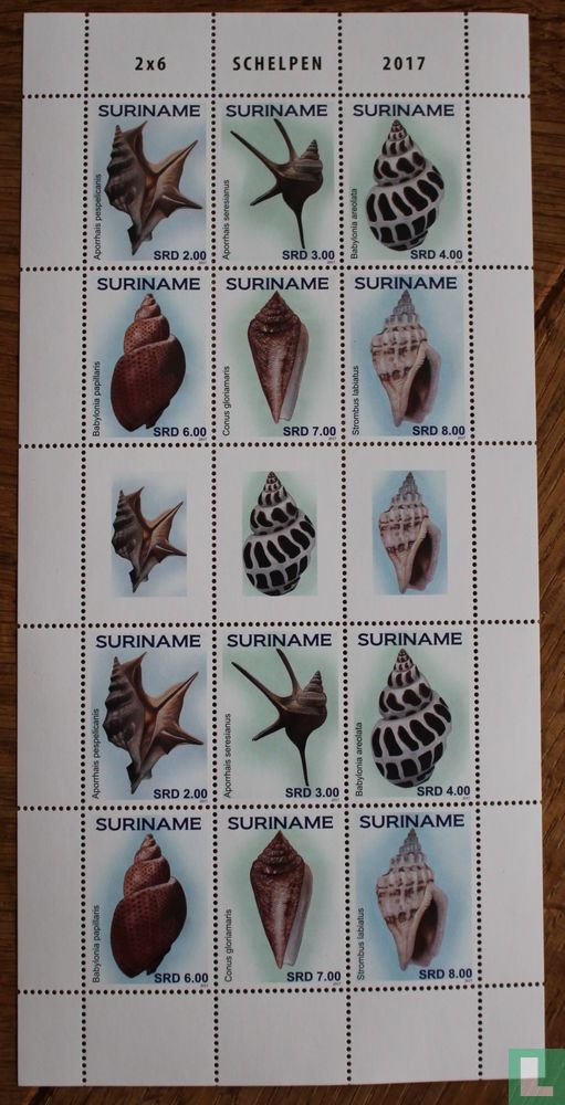 Shells