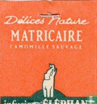 Matricaire