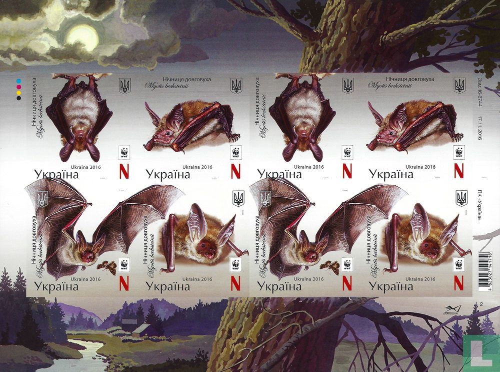 Bats
