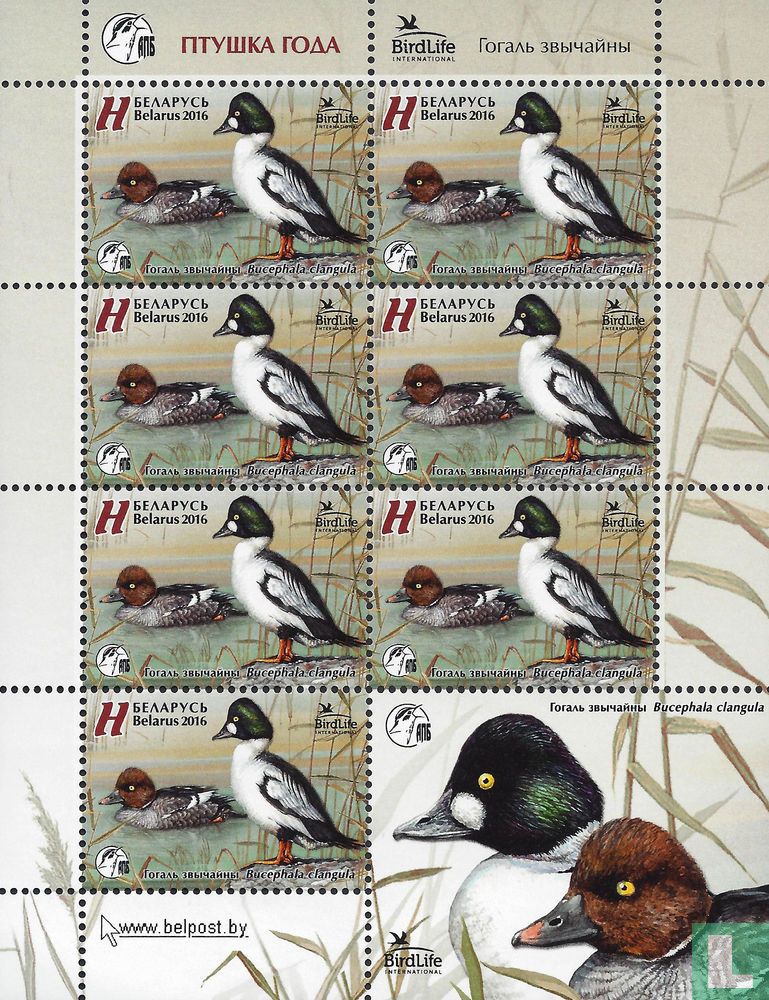 Oiseaux de l'année
