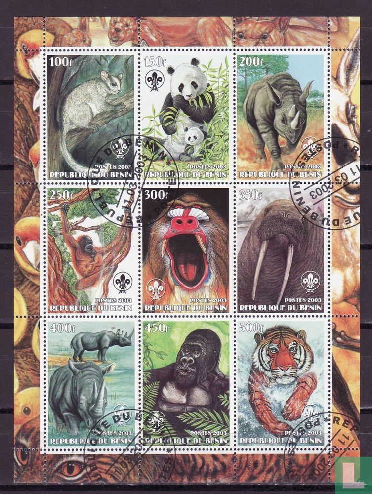 animals