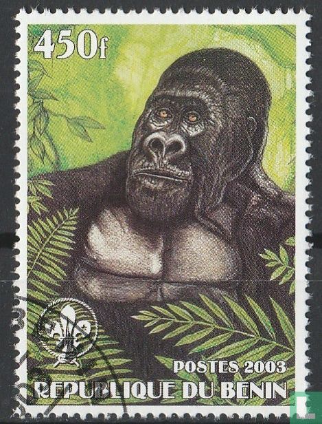 Orangutan