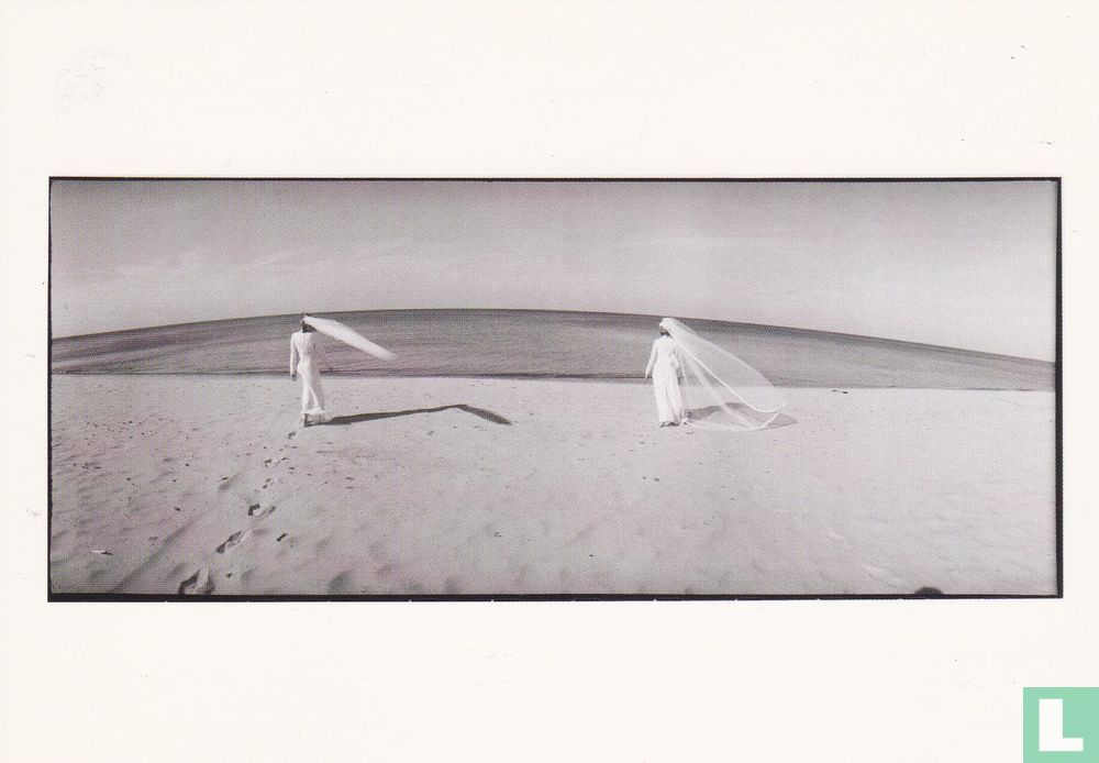 Steven E. Gross ´Two Brides´