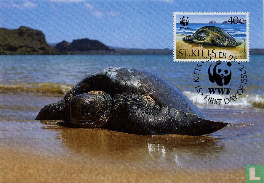 WWF-grüne Schildkröte