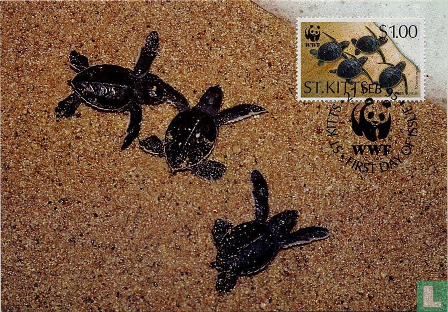 WWF-grüne Schildkröte