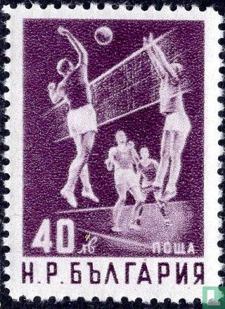 Volleyball
