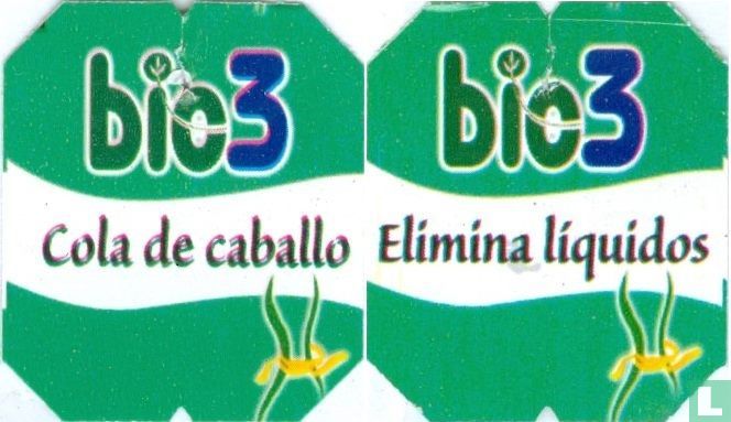 Cola de caballo