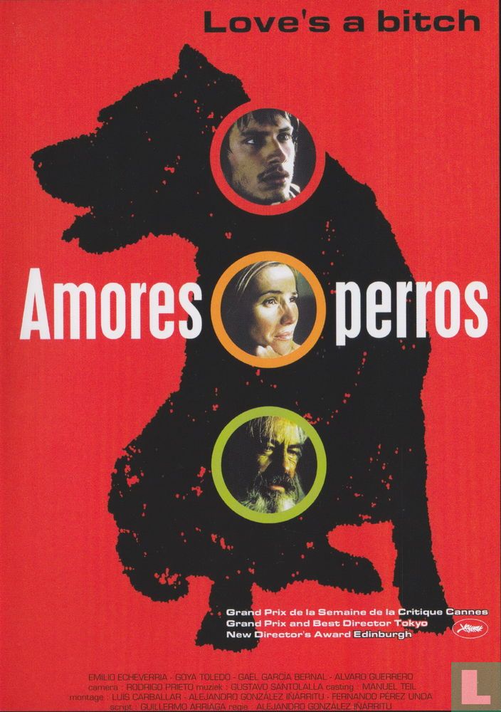 Amores perros