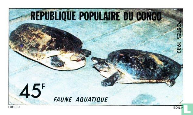 Tortues
