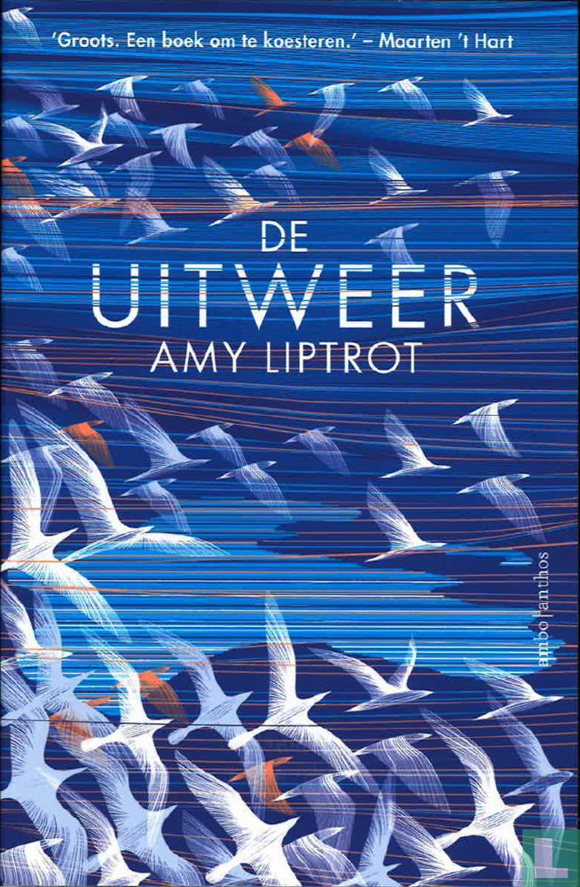 De uitweer