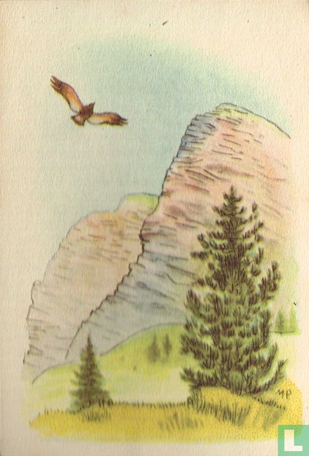 Heidi
