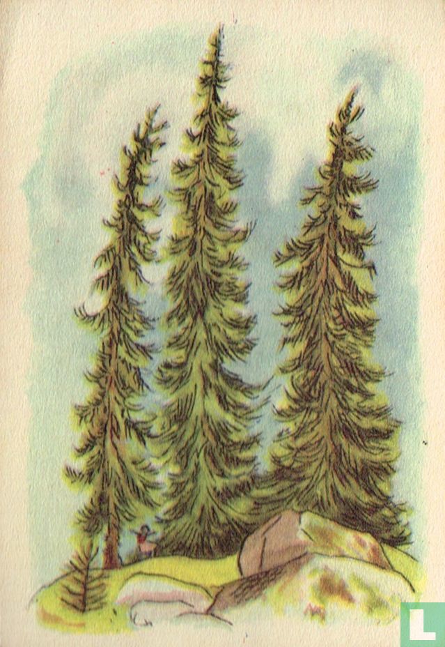 Heidi