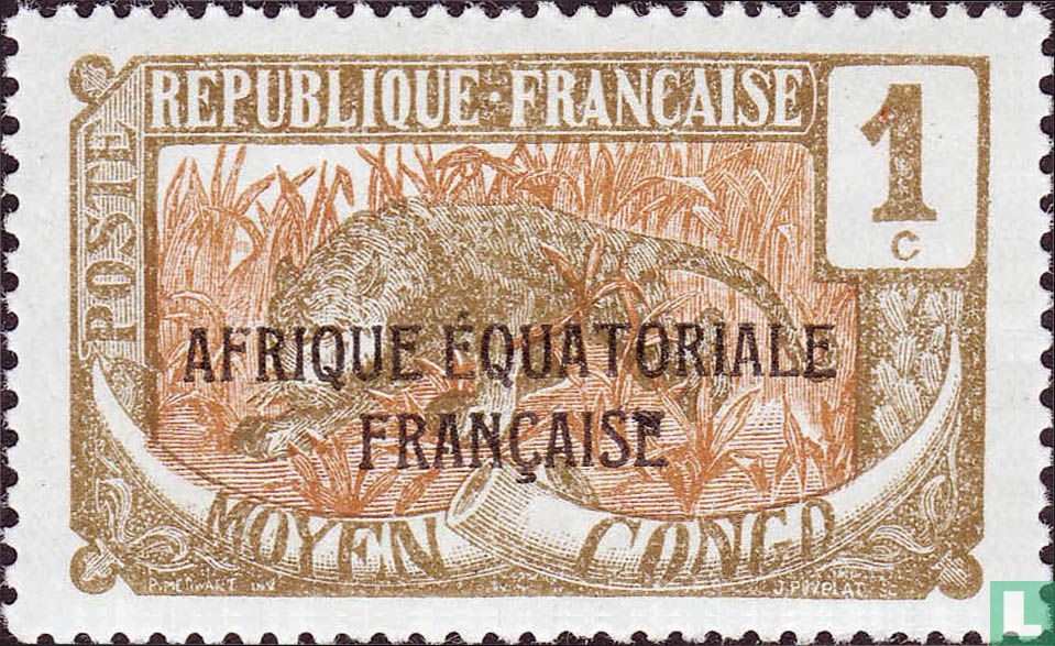 Leopard, with overprint