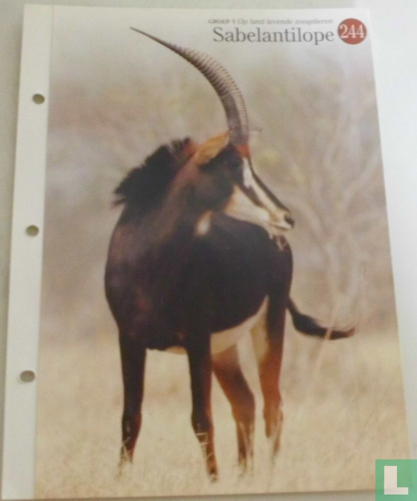 Sabelantilope