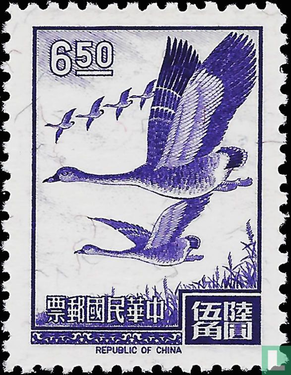 Wild geese in flight 