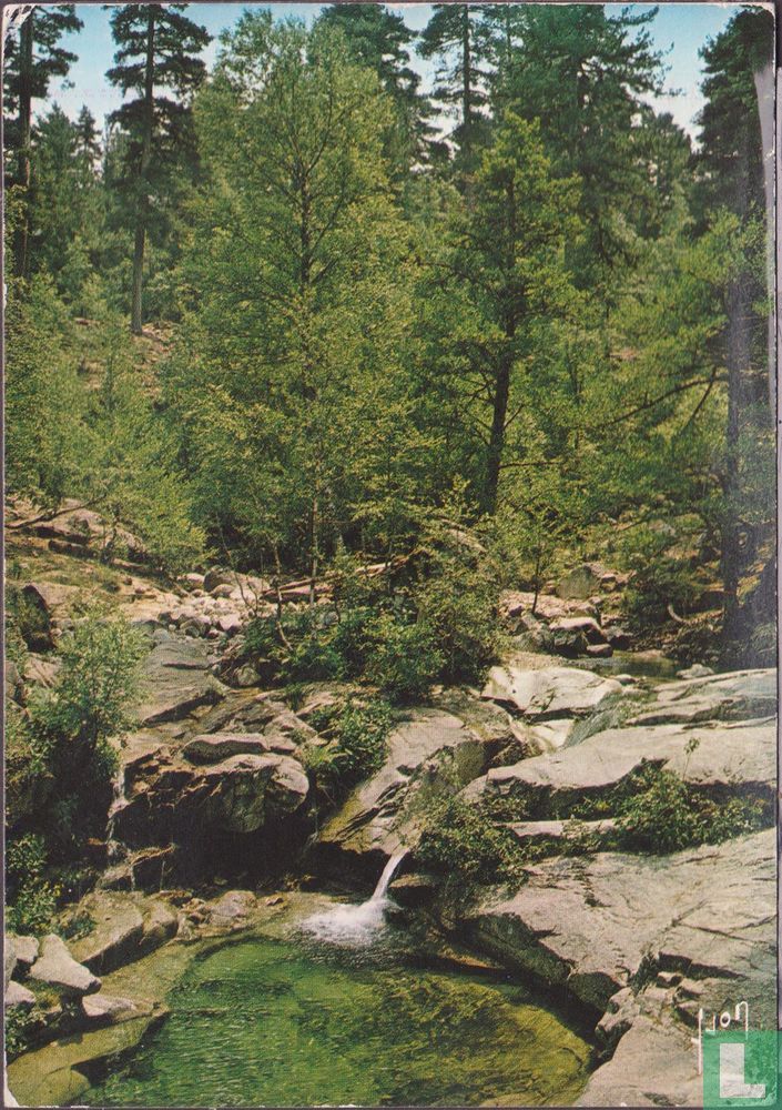 Forte D'Aitone