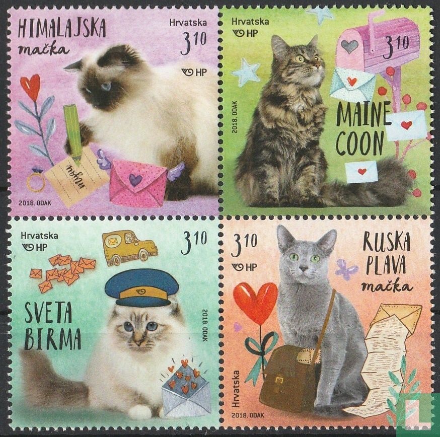 Cats