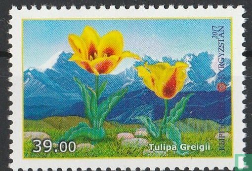Flora and fauna