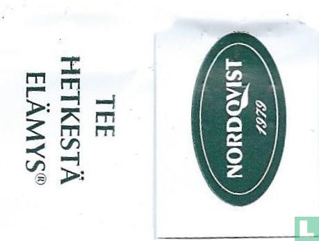 Luonnon Tee 