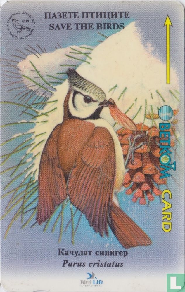 Parus cristatus