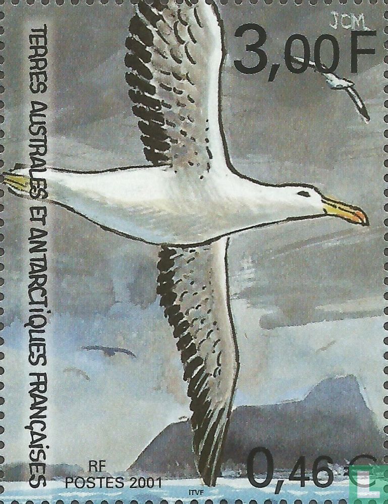 Grand albatros