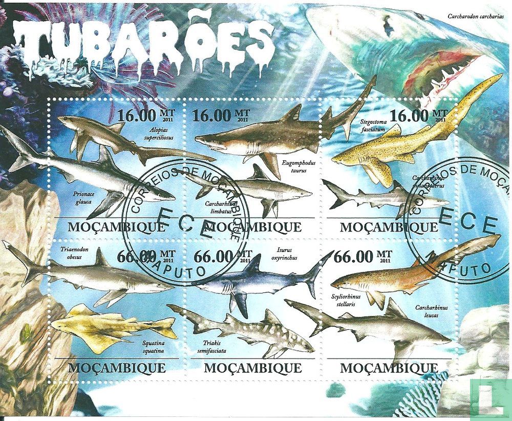 Requins