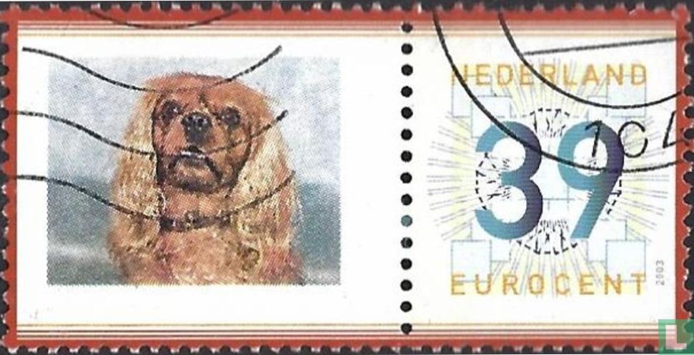 chien