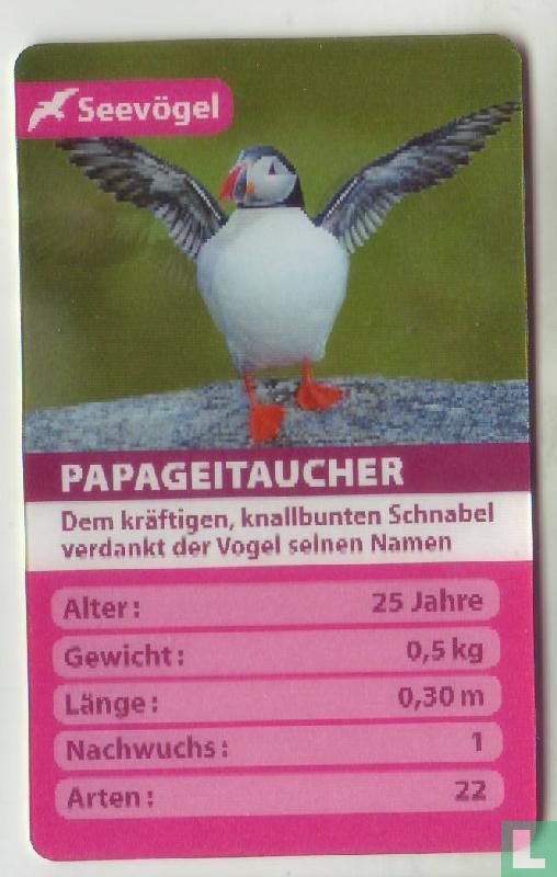 Papageitaucher