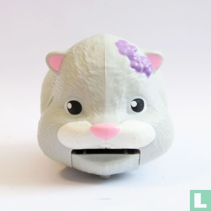 Cochon d'Inde gris