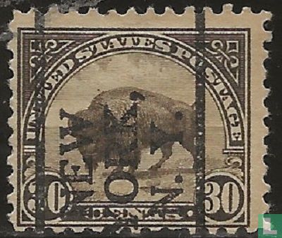 American buffalo
