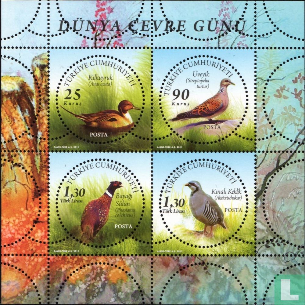 Oiseaux 