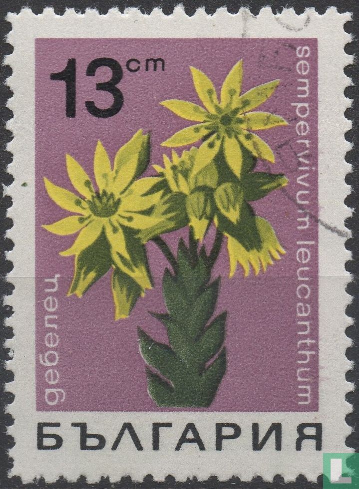 Blumen
