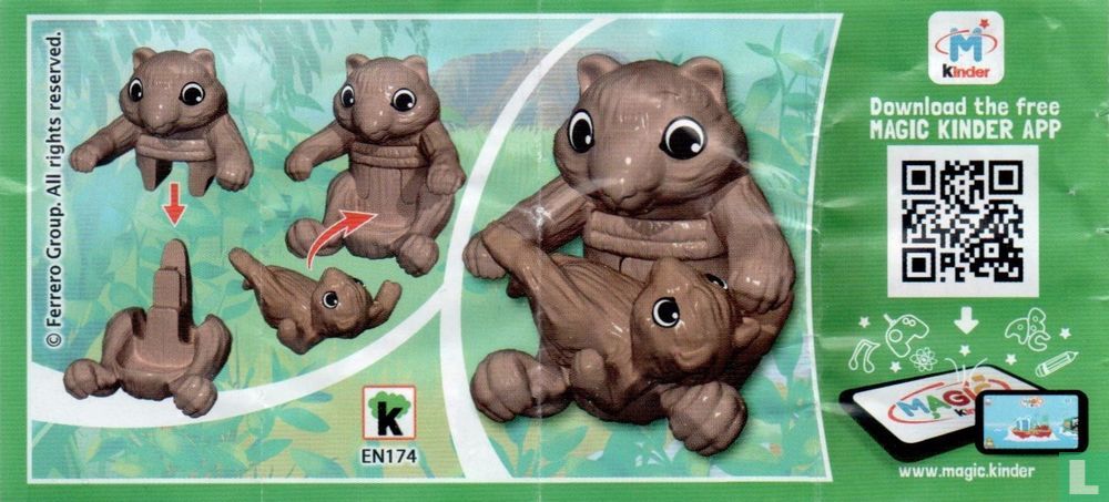 Wombat