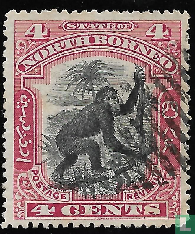 Orang-outan