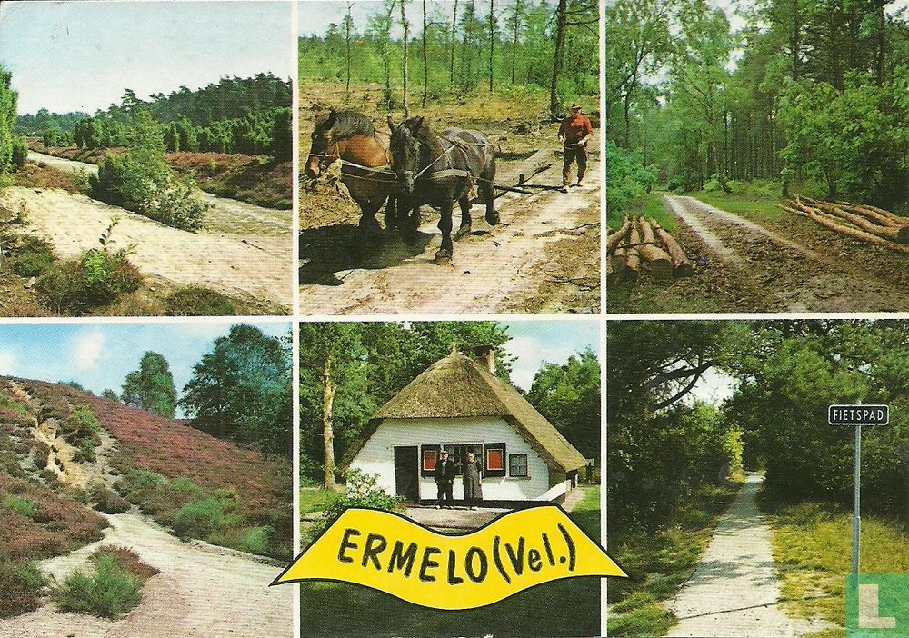 Ermelo (Vel.)