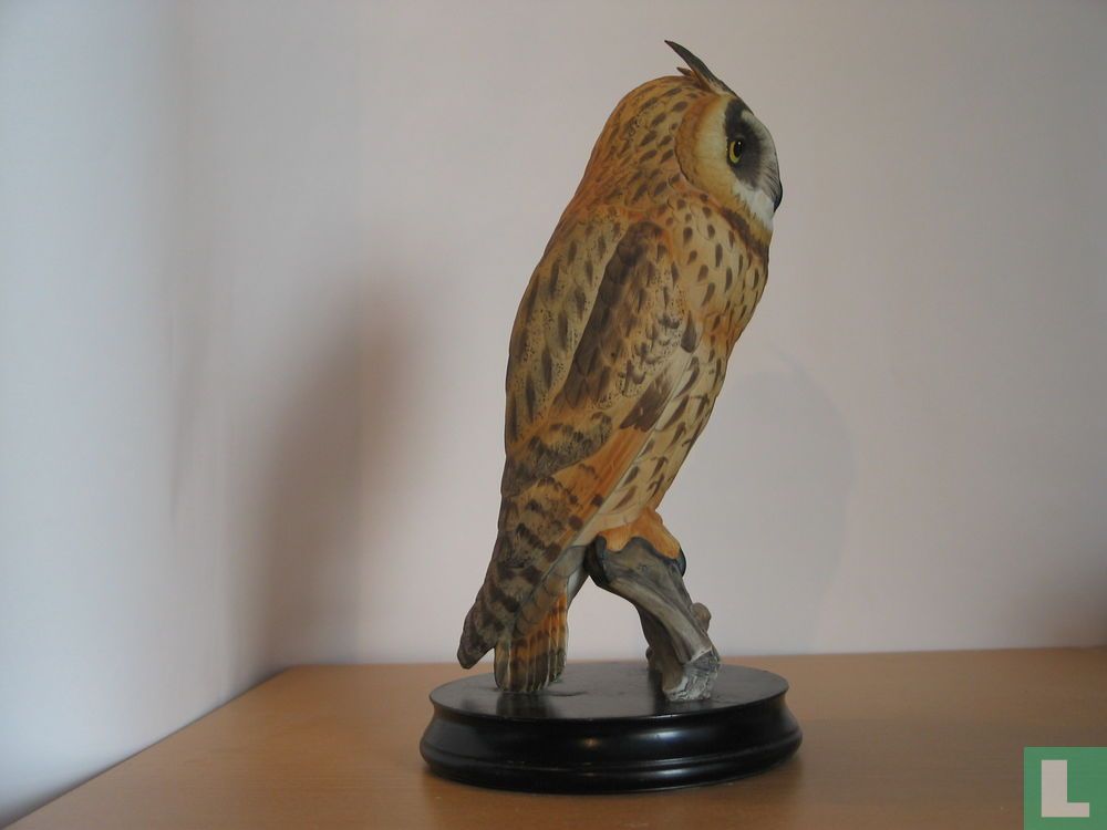 Hibou moyen due