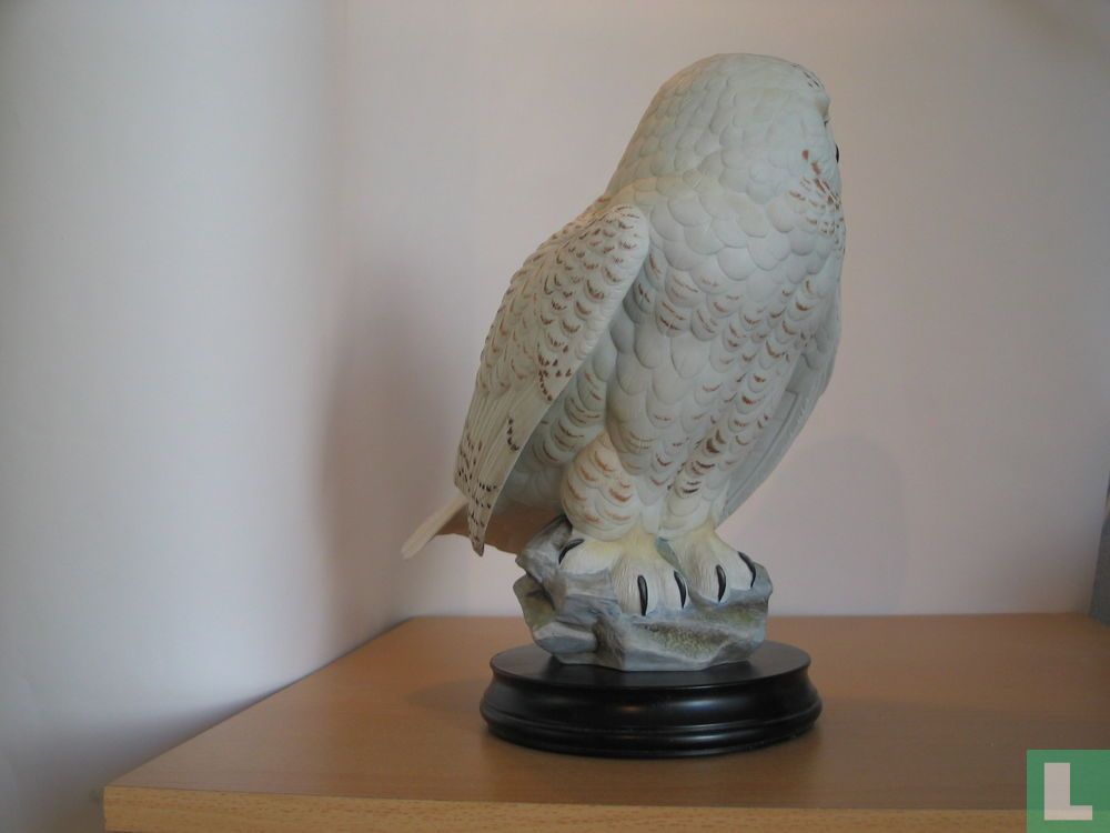 Snowy Owl