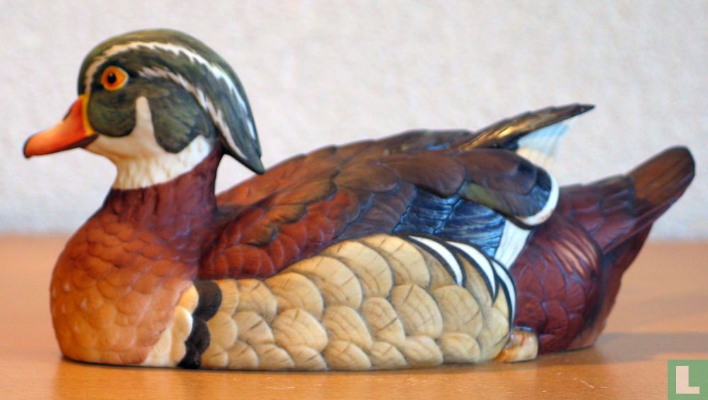 Brautente (männlich)