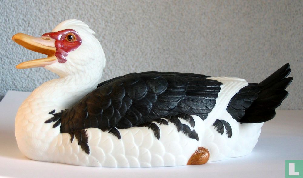 Canard Musqué 