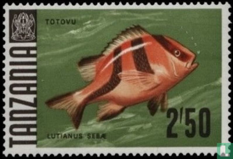 Fish