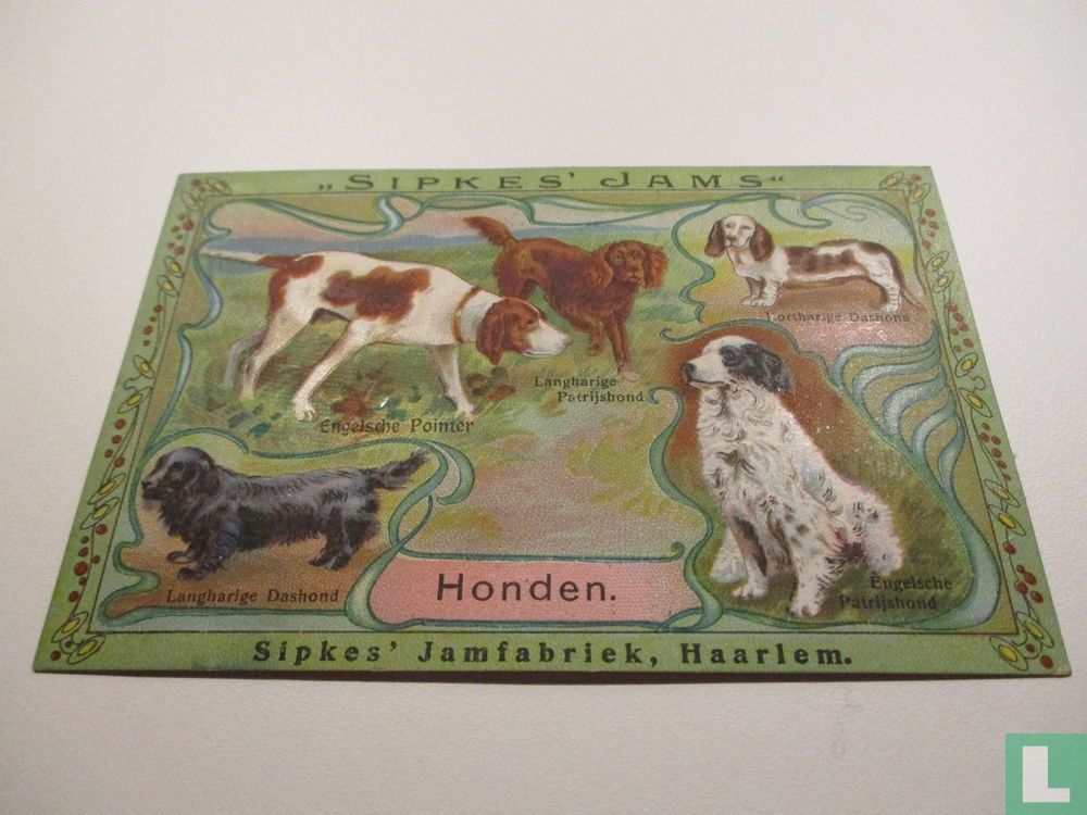 Honden