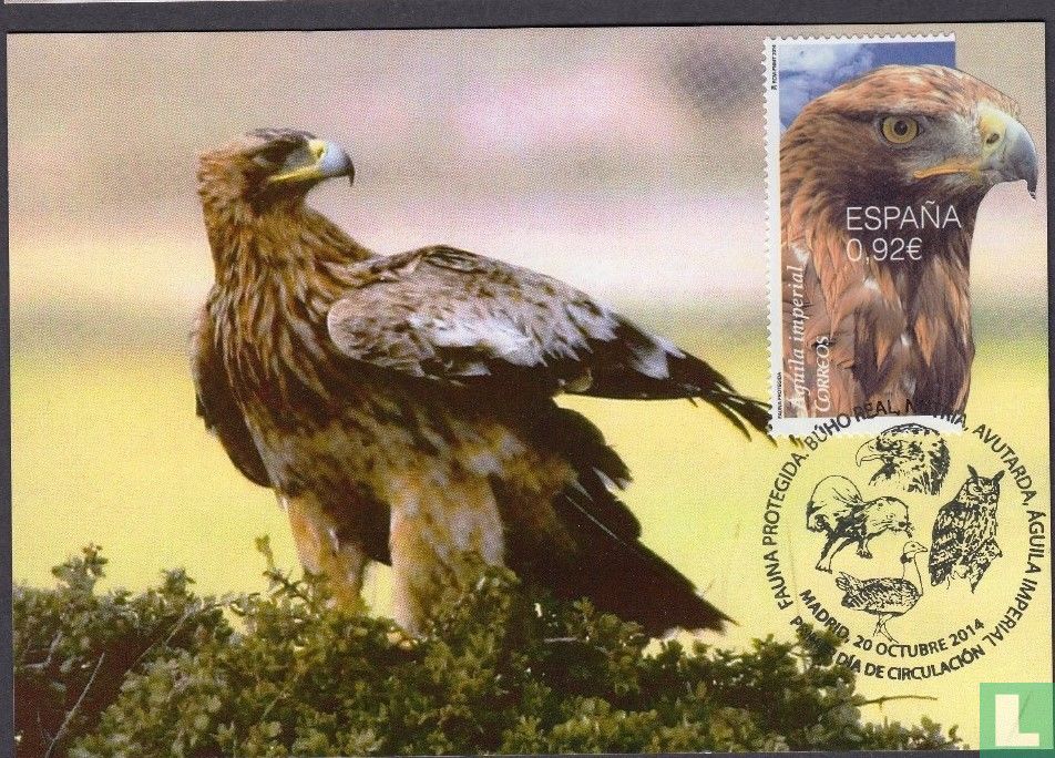 oiseau de proie