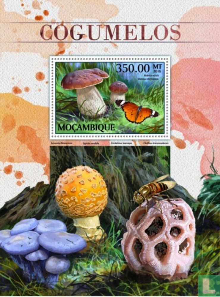 Champignons
