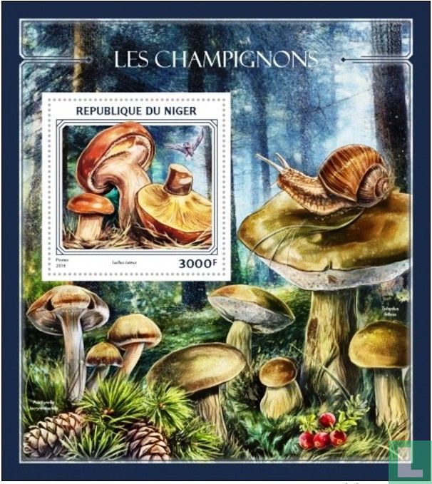 Les champignons