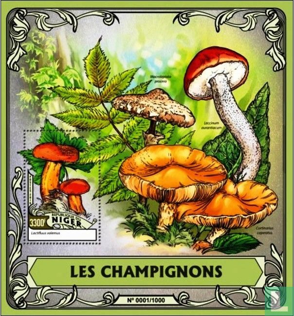 Les champignons