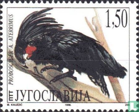 Fauna